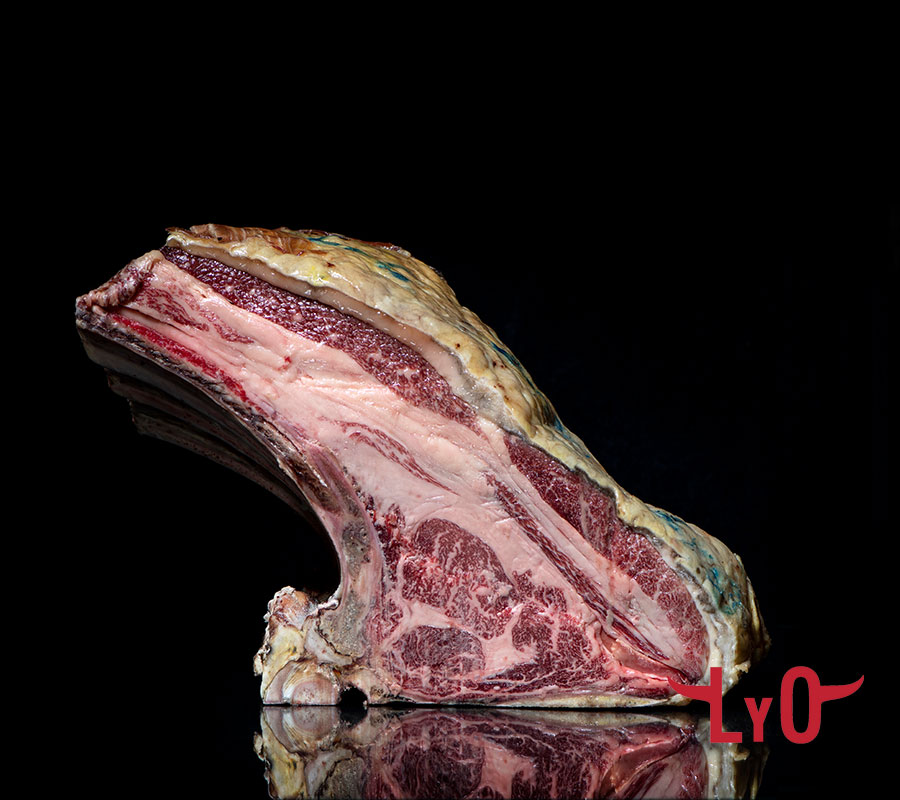 Chuletón de buey madurado 180 días, pieza grande con hueso, grasa amarilla y corteza de maduración
