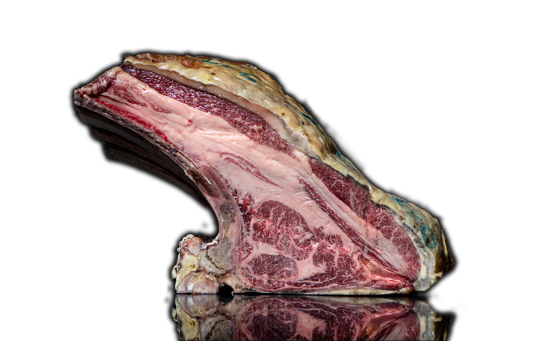Tienda online de carne madurada 1 Buey Gallego Carnes Divins
